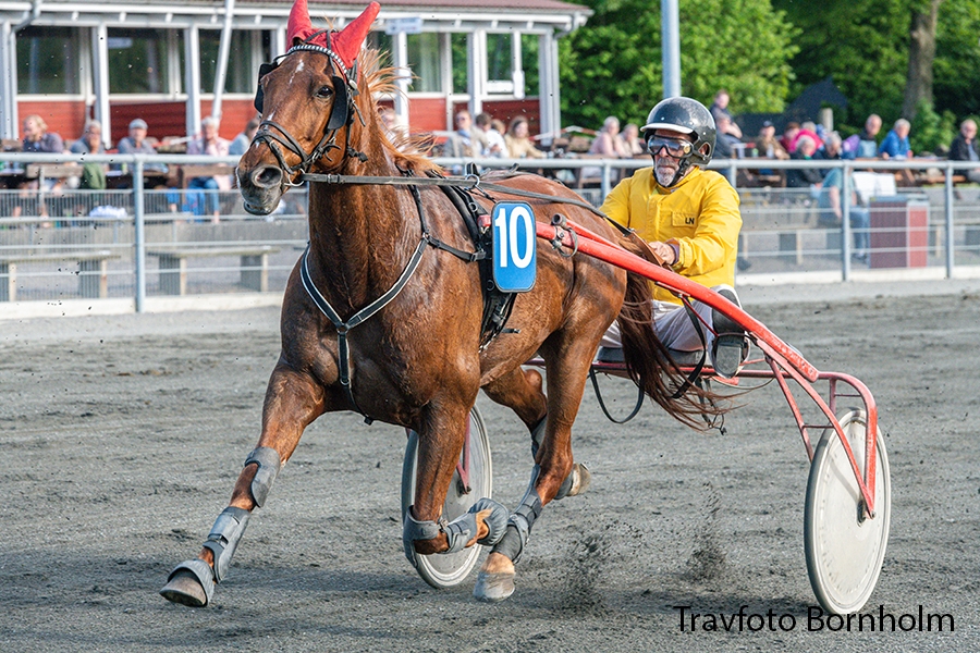 Travhest med 26 sejre har forladt jorden