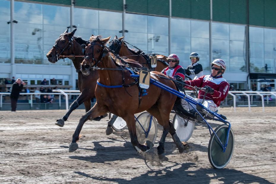 Capture med i storl�b ved Svensk Trav Derby
