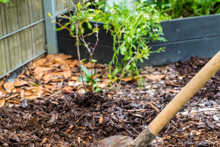 Gr�n ukrudtsbek�mpelse