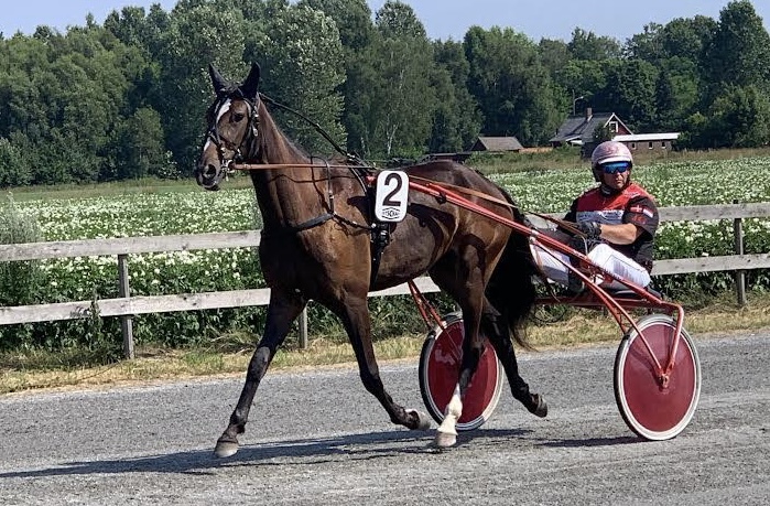 Gommans hest havde slim i halsen efter l�bet