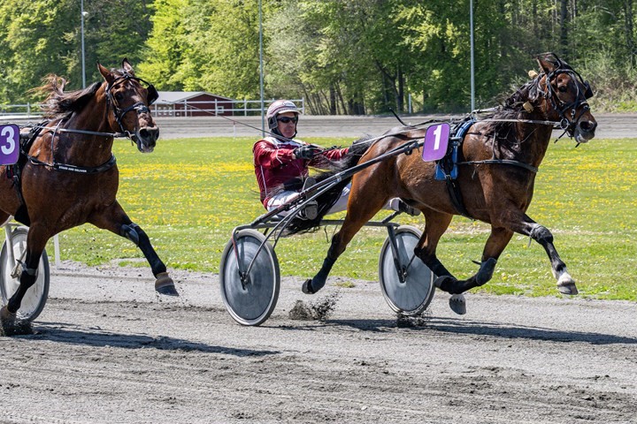 Diamondwind favorit som sprintermester