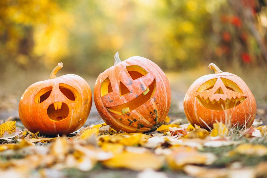 Nex� fejrer efter�rsferien med vild konkurrence