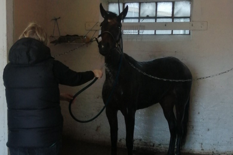 Sidste start p� Bornholm p� l�rdag