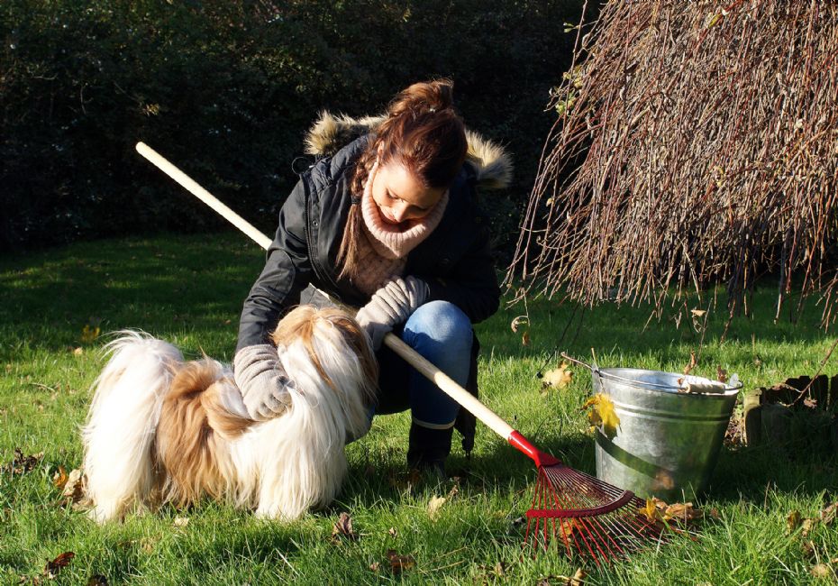 G�r gr�spl�nen vinterklar