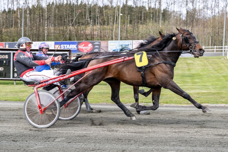 Golden League toeren skadet