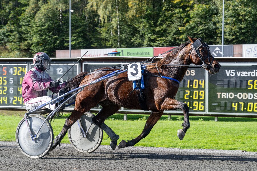 Frank Mikkelsen passerede 300.000 kr. i pr�mier i �r