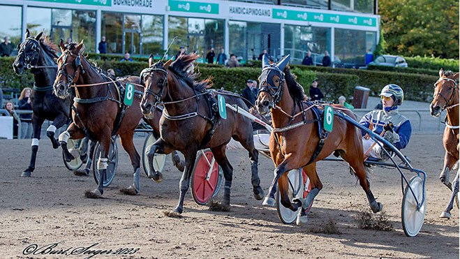 Bornholmerheste kom ikke til start