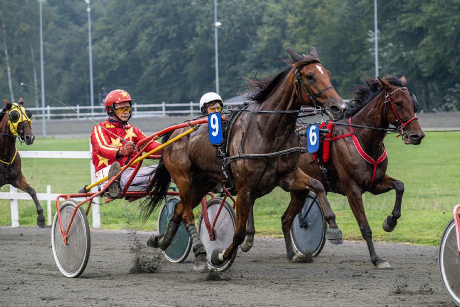 Travhest har forladt �en