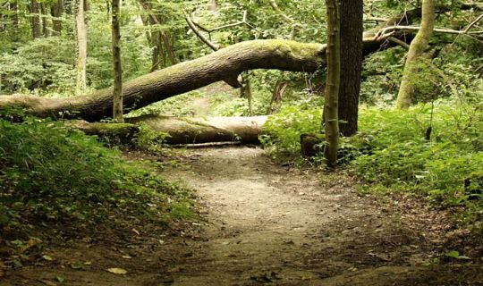 Kraftigt bl�sevejr forventes at ramme Bornholm