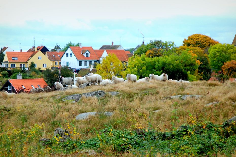 Nyd at �rstiderne skifter