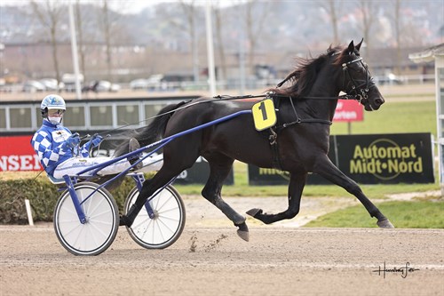 Bornholmsk opdr�t fjerde i Danmarks st�rste tre�rsl�b