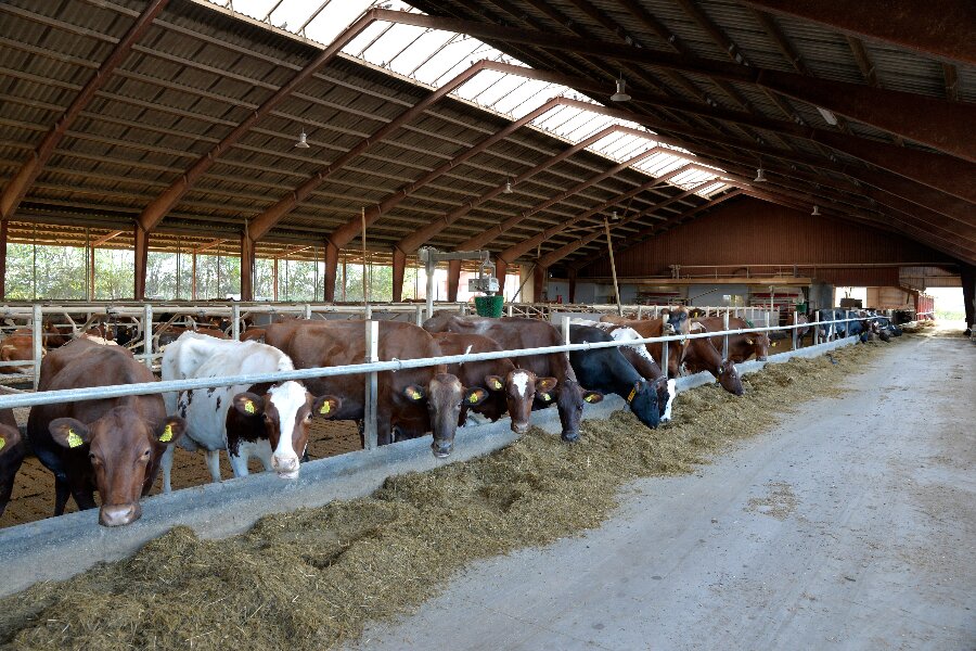 M�lkeproducent om l�gger sin produktion