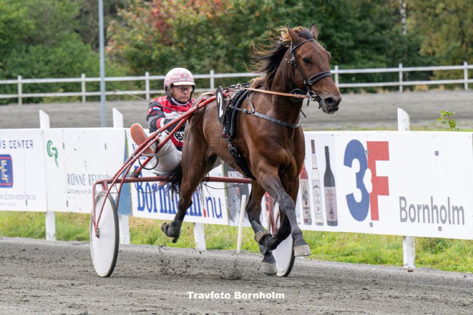 Enkelt bornholmsk hest til J�gersro