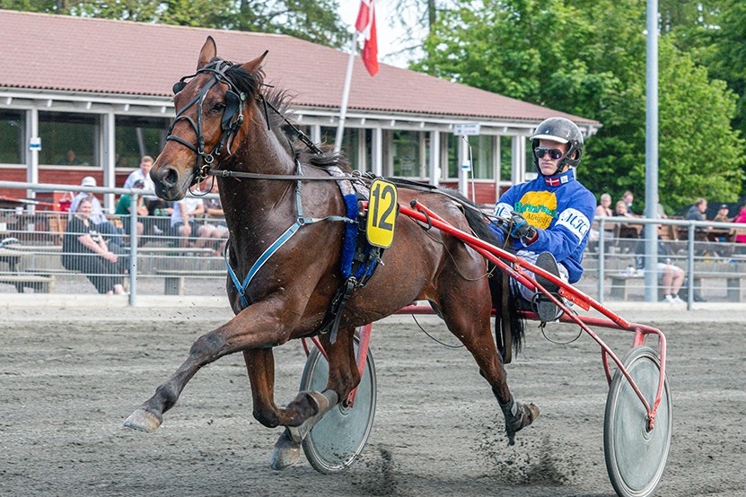 Bornholmerheste rakte ikke i Sverige