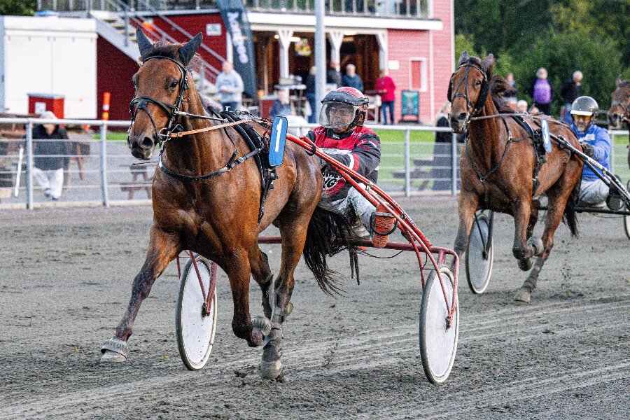 Ismael F Boko klar til ny start 22. december