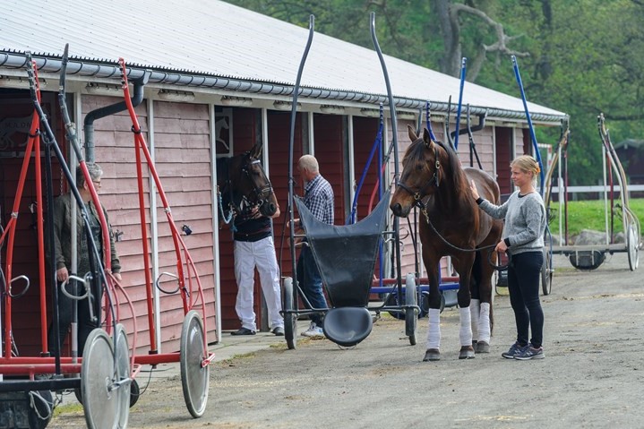 St�rre l�bspr�mier p� Bornholms Brand Park