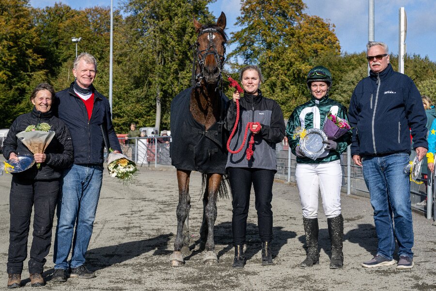 Bonny Boy er årets sejrshest i Danmark i ridetravløb