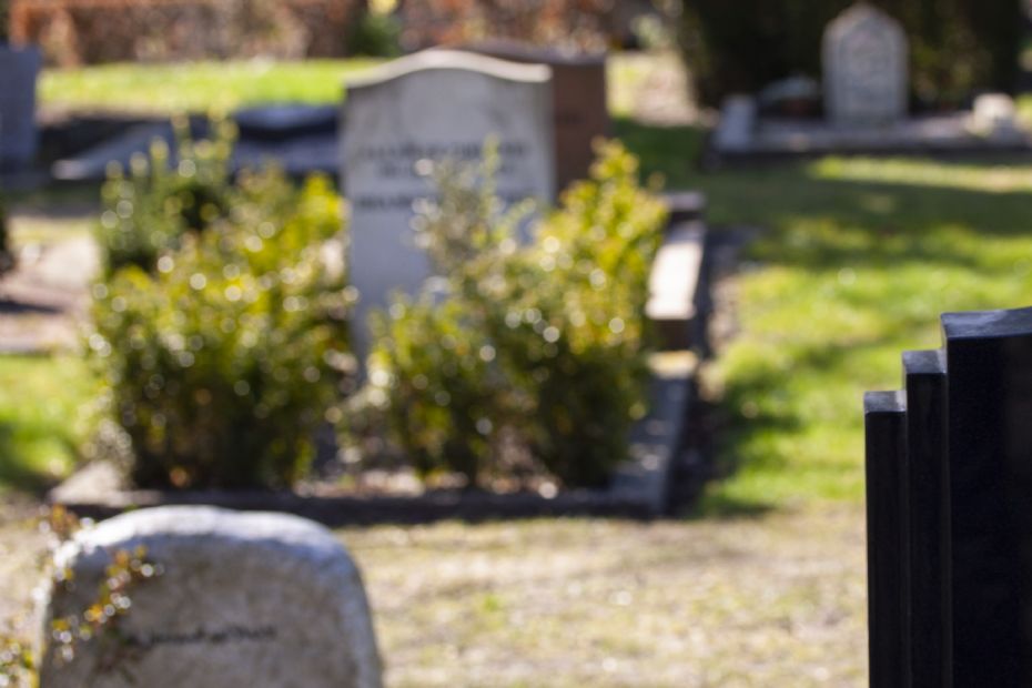 Kun en bis�ttelse i Knudsker i 2022