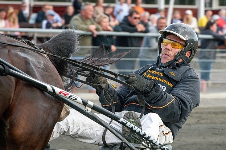 Malteser hesteejer p� Bornholm