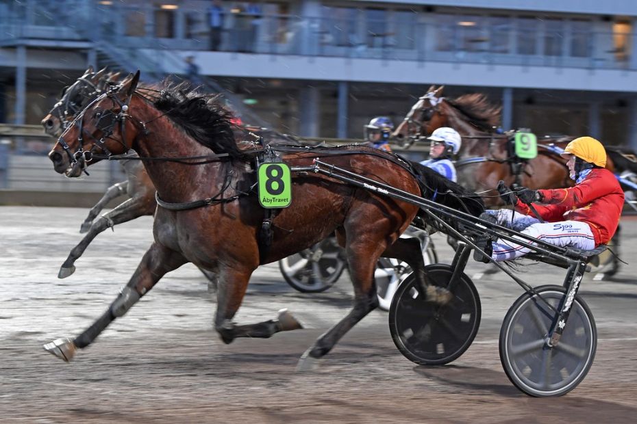 Travhest k�bt til den bornholmske elite