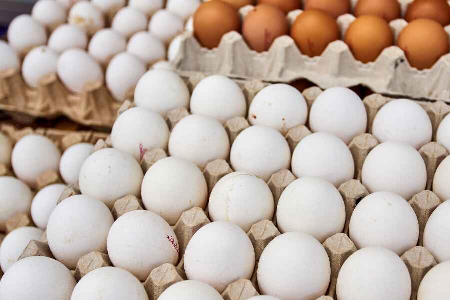 �gproducent oph�rt