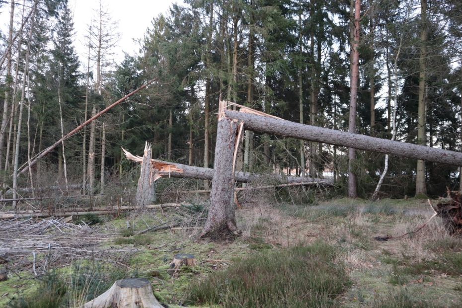 DMI varsler vindst�d af stormstyrke