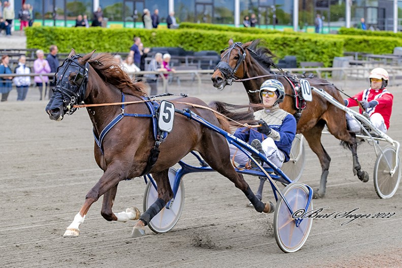 Bornholmer har nu 12 travheste i tr�ning