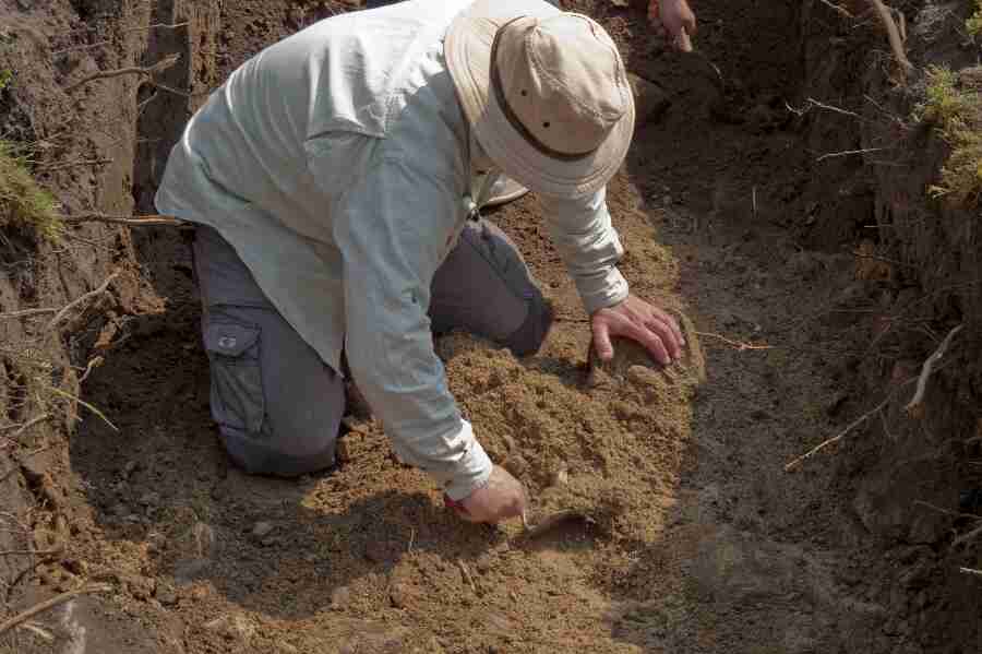 Museet skal overv�ge byggeri af solcellepark
