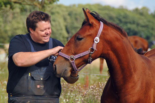 Hest k�bt til samme ejerhold som Wonderful Ice