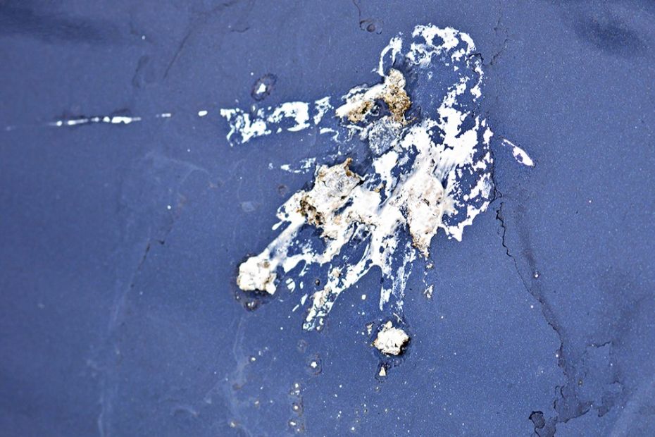 Fugleklatter skader bilens lak