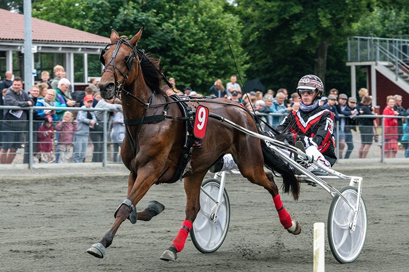 Ung bornholmer i tre l�b p� Fyn