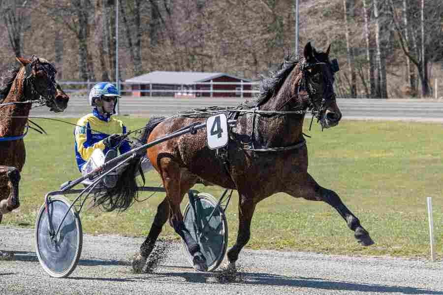 Diamondwind vandt i Golden League