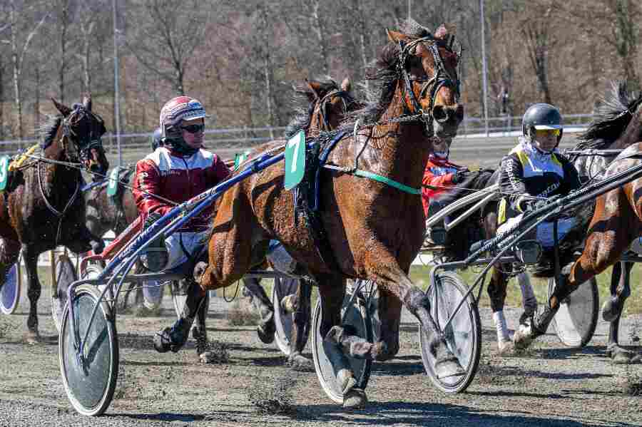 Frank Mikkelsen i udbrud i tr�nerligaen