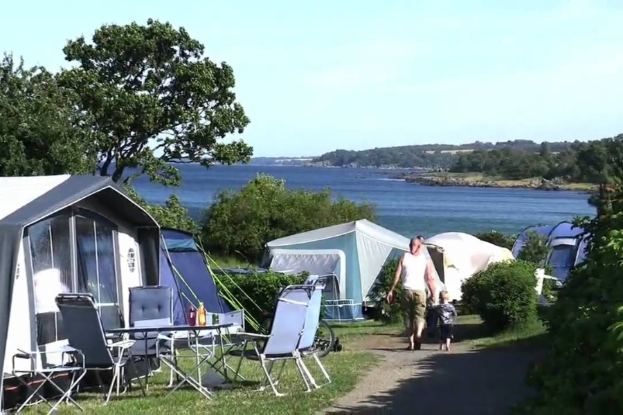 Campingplads gav atter stort overskud