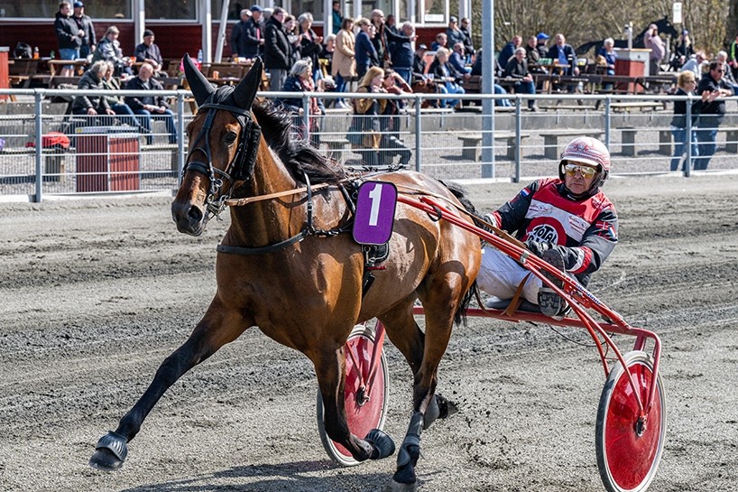 John Gommans stald reduceret