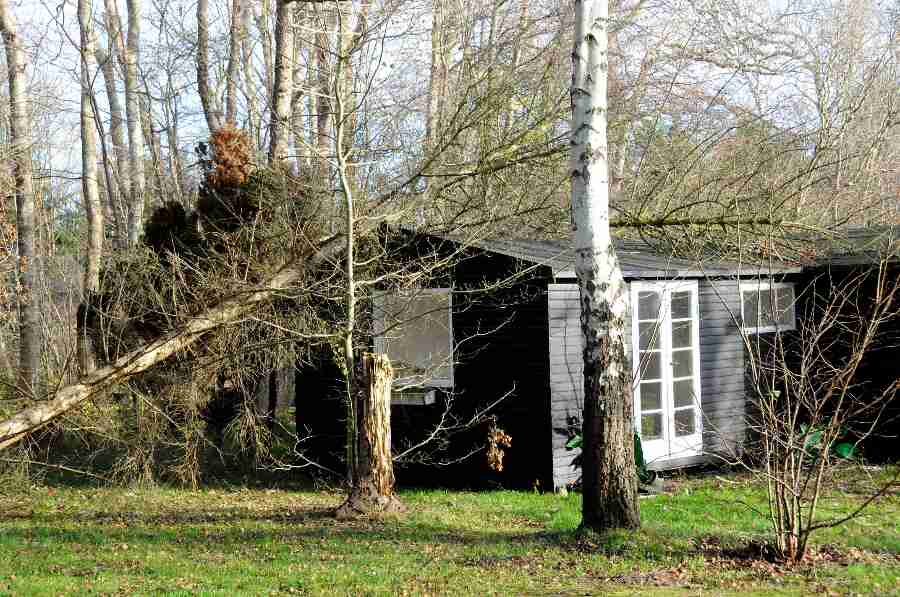 Stormskader blev dyrt for Bornholms Brand