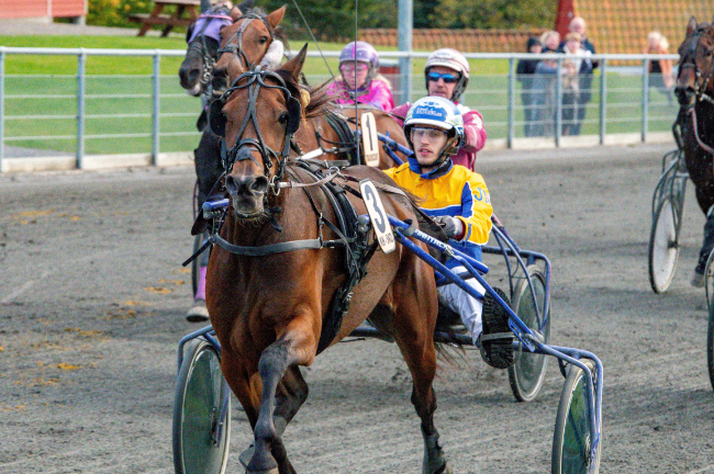 Frank Mikkelsens hest r�g ud i kulden i Sverige