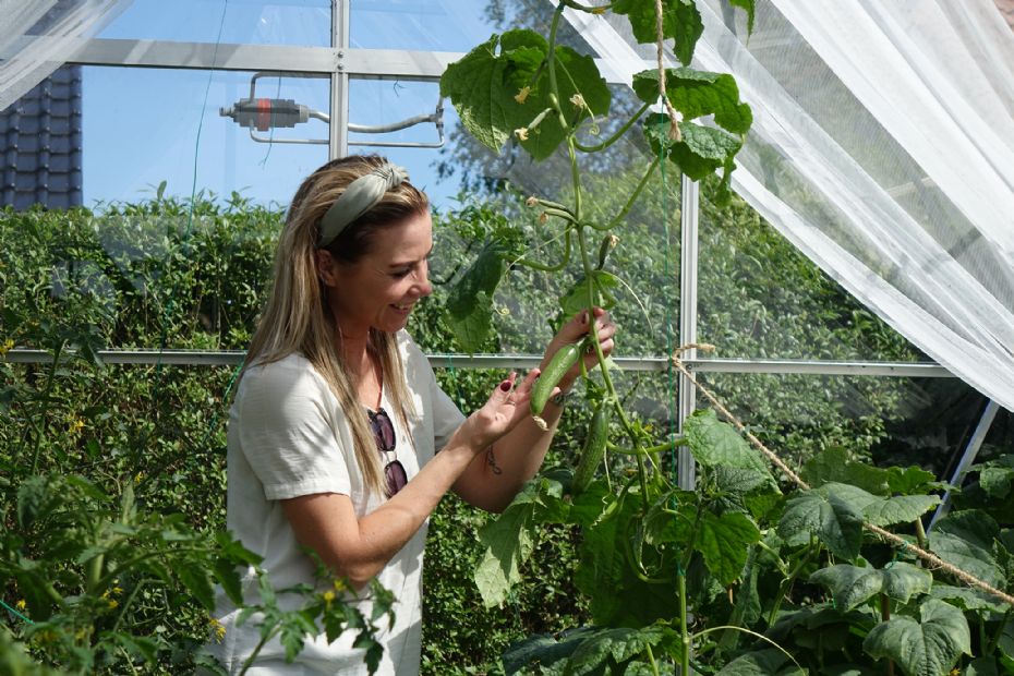 Udlev dr�mmen om et drivhus i haven