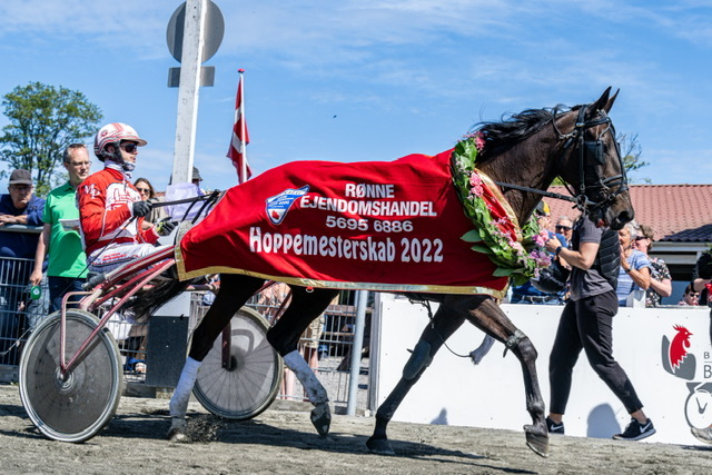 Sidste �rs hoppemester er solgt p� auktion til avl