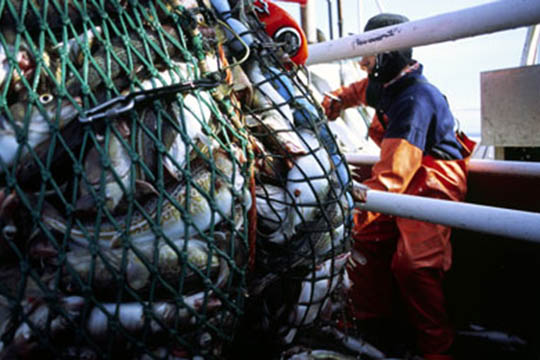 Overskud hos Tejn Trawl og Net ApS