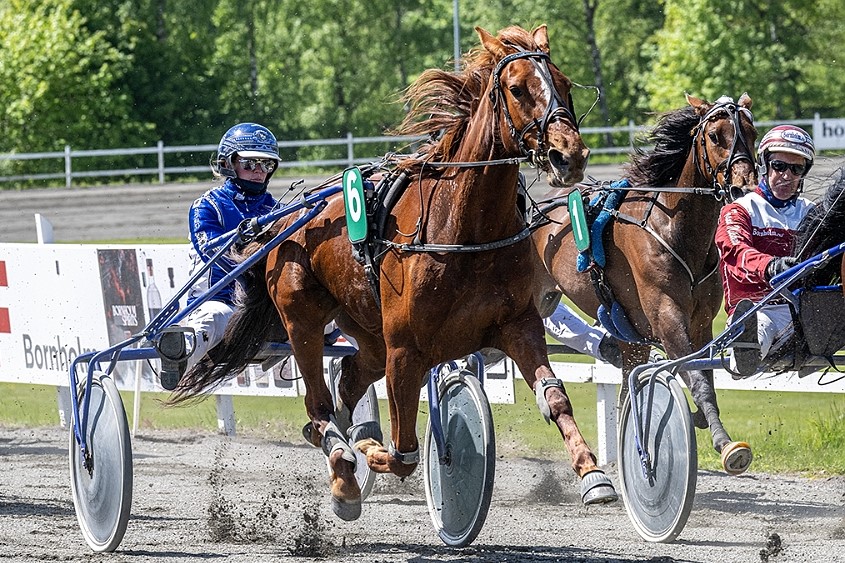 Ny kusk p� hoppemester i 5-�rsmesterskabet