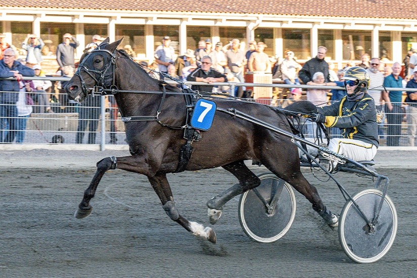 John Gommans udvider stalden