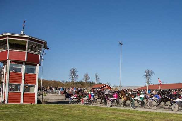 Kendt travopdr�tter er d�d