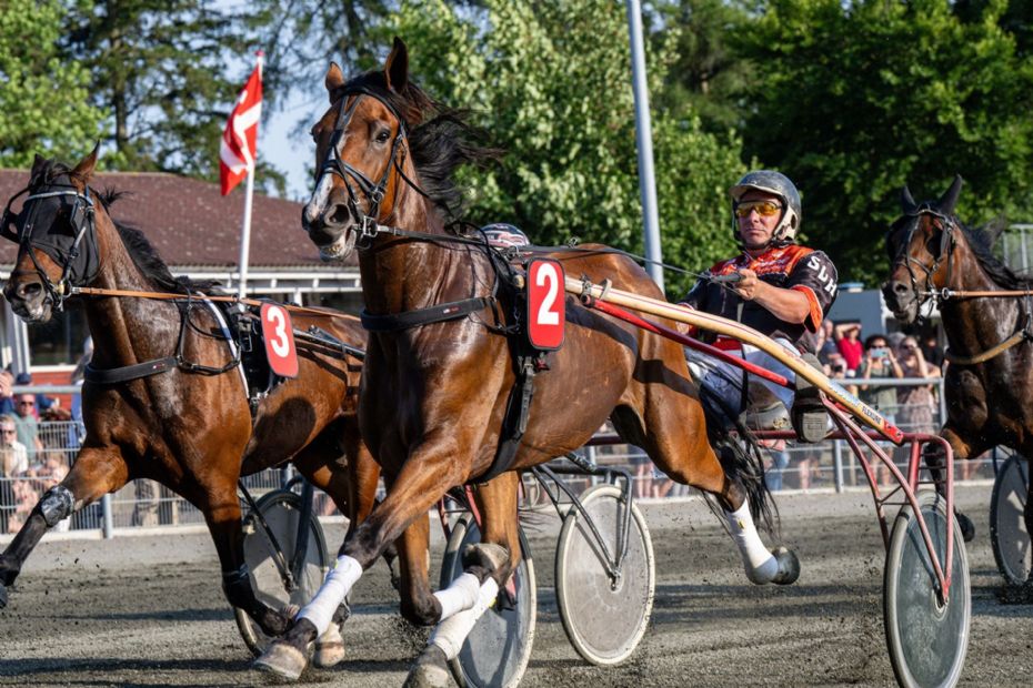 Lind-Holm nu klar toer i tr�nerligaen