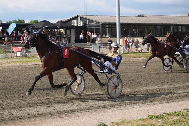 Bornholmsk fire�rsmester har tabt gejsten