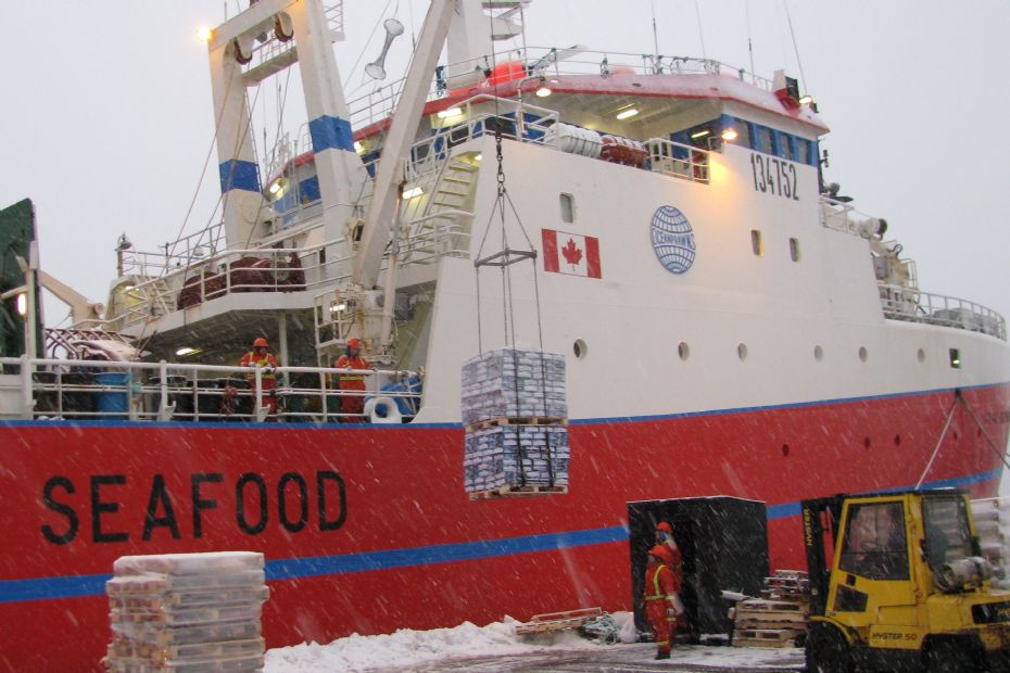 Ocean Prawns i Nex� tjente 78,8 mio. kr. - efter skat