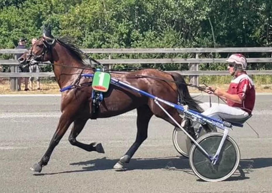 Tre bornholmere til start i Sverige