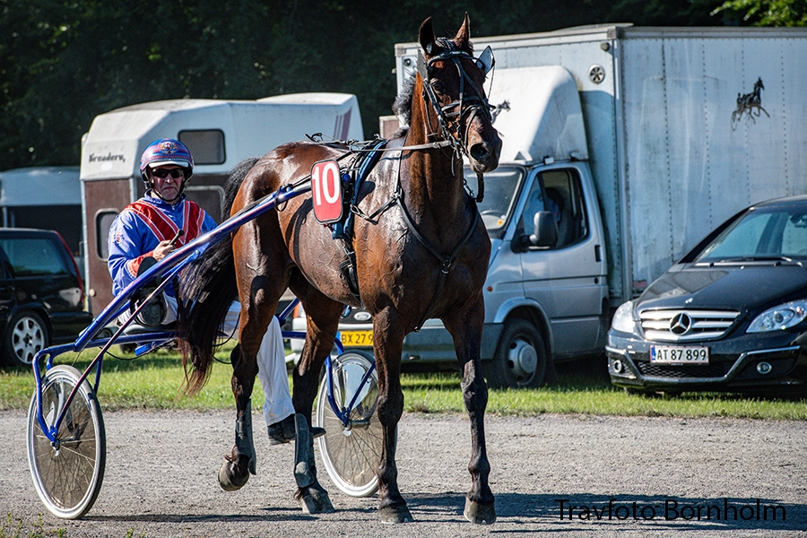 Sejrshesten Jetset Onion gør comeback