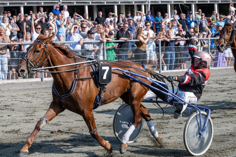 - Jeg har k�rt over 100.000 kr. ind i et l�b