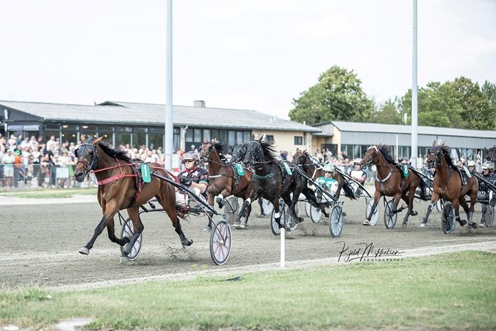 Bornholmersucces p� Sydhavs�en